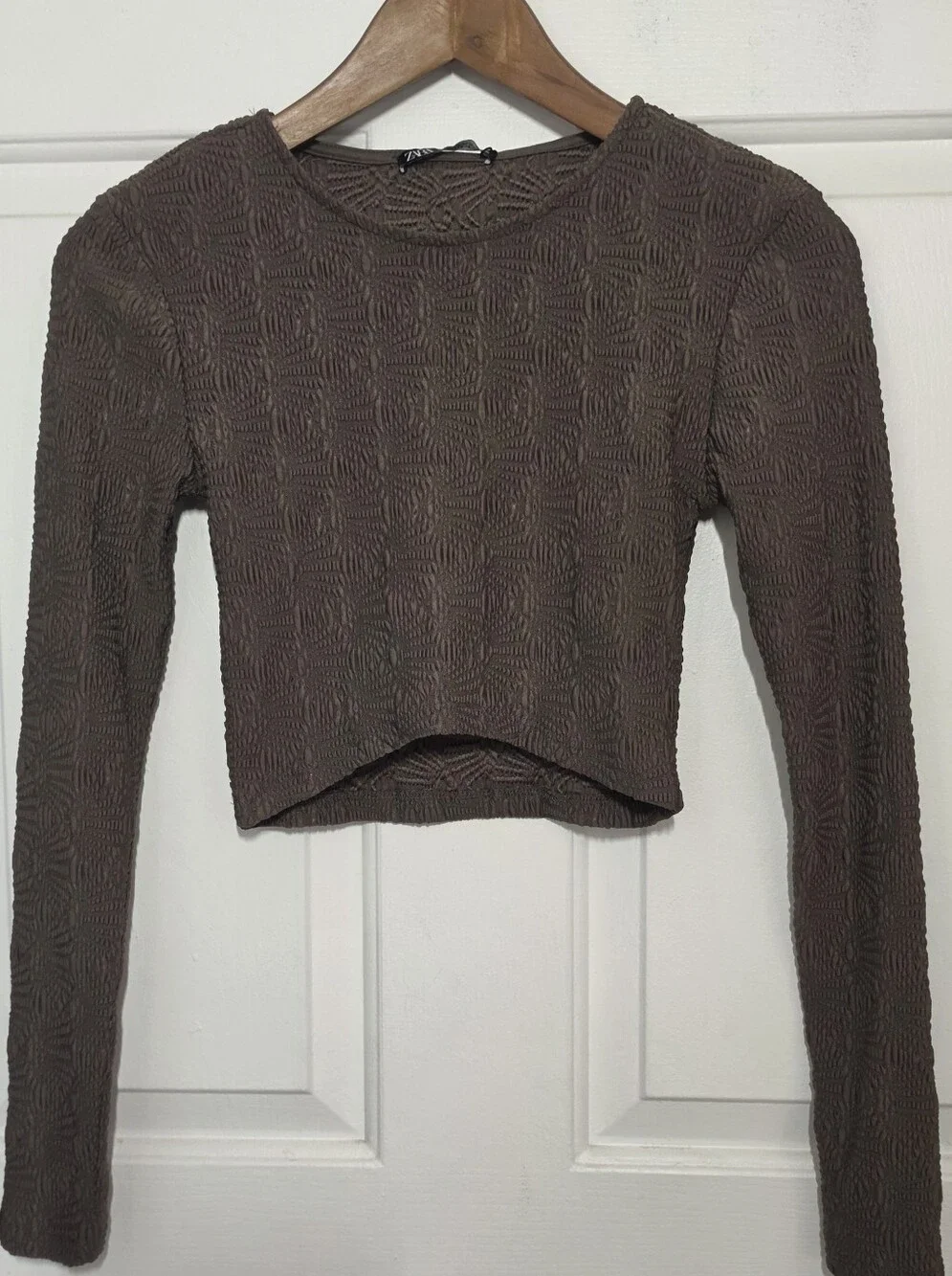 ZARA Textured Brown Long-Sleeve Crop Top